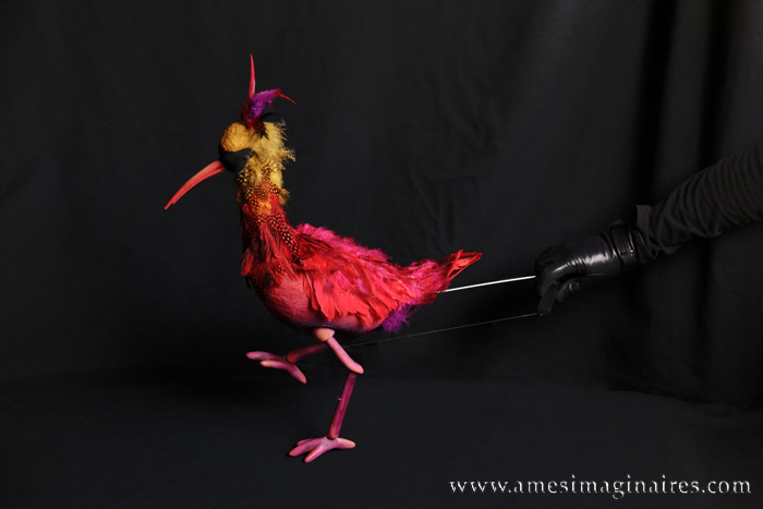 Oiseau