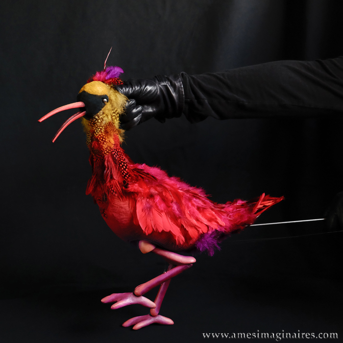Oiseau