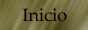 inicio